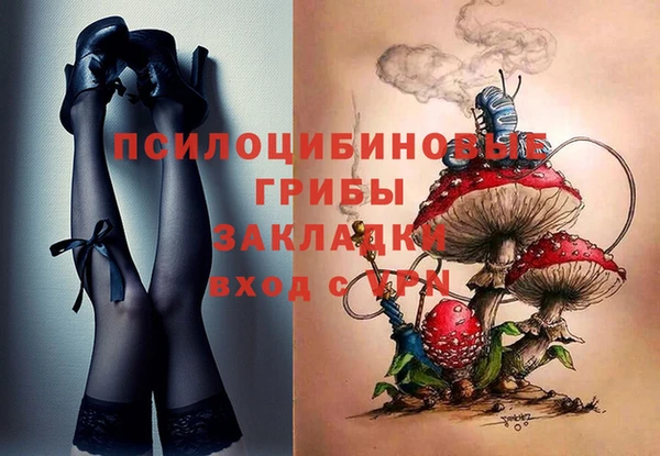 сатива Алзамай
