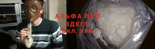 сатива Алзамай