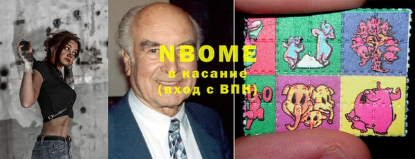 сатива Алзамай