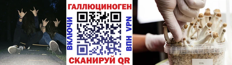 Галлюциногенные грибы прущие грибы  как найти   Сосновый Бор 