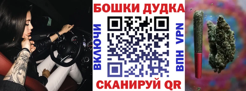 Конопля OG Kush Сосновый Бор